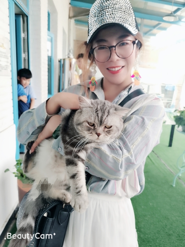 小黑猫的第一张照片--东莞相亲服务中心