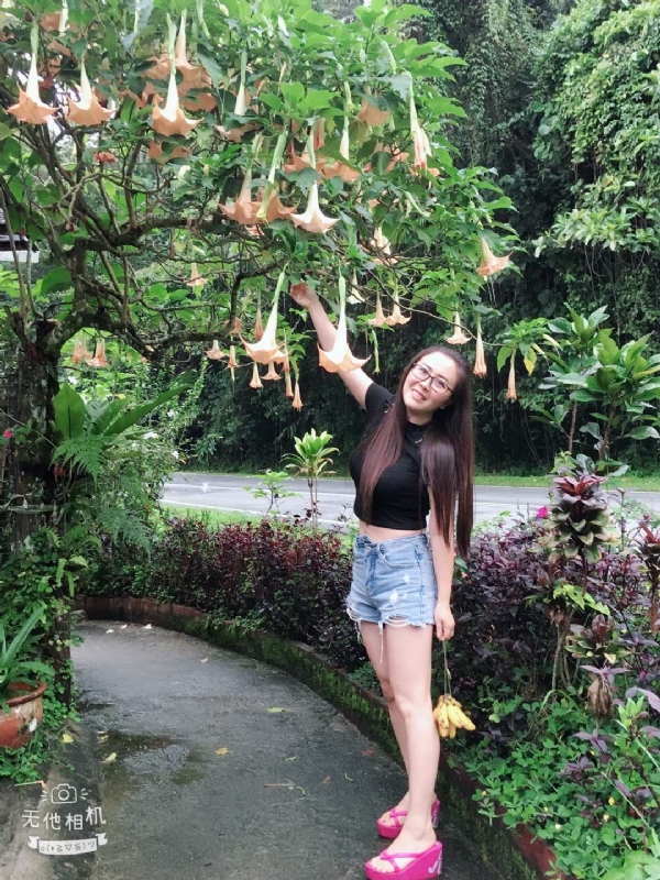 离异单身无子的第二张照片--东莞相亲服务中心