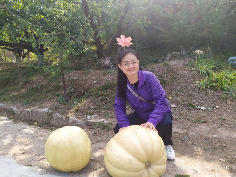 海绵宝宝的第一张照片--东莞相亲服务中心