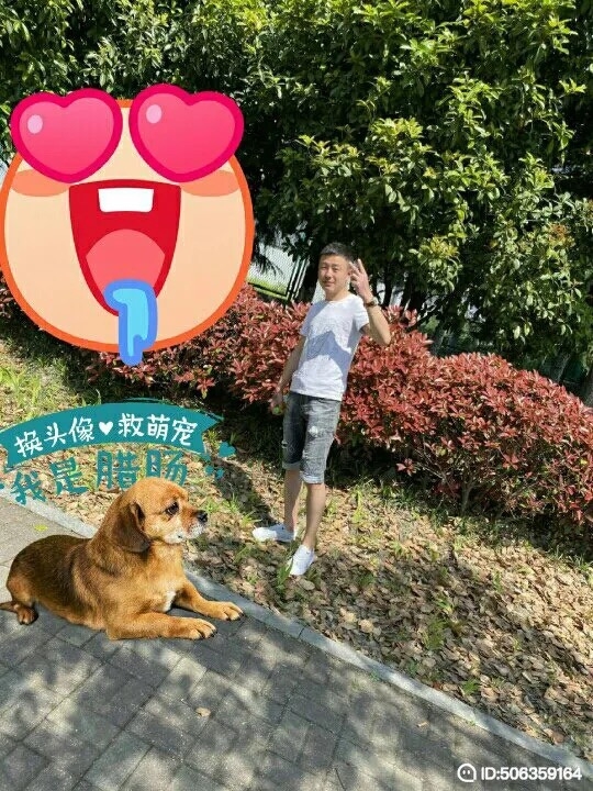 我若不坚强谁替我勇敢的第一张照片--东莞相亲服务中心