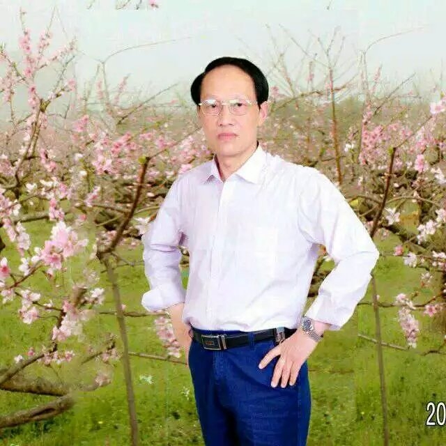 枫叶的第一张照片--东莞相亲服务中心